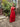 1970s Benny Ong for Mushroom Boutique Red Halter Neck Dress