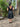 1960s Hardy Amies Couture Silk Organza Dress with Hand Made Net Flowers
