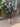 1950s Eleanor's of Miami Lame and Chiffon Dress Suit