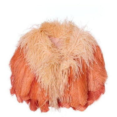 ARCHIVE - 1950s Peach Ostrich Feather Boa