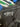 4be943fc1b24029a70e15b13f9ec375c