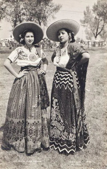 1940s Chiapas Black Net Maxi-Skirt with Heavy Floral Embroidery