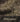 ARCHIVE - 2013 Runway Dolce and Gabbana Monochrome Tweed Hotpants