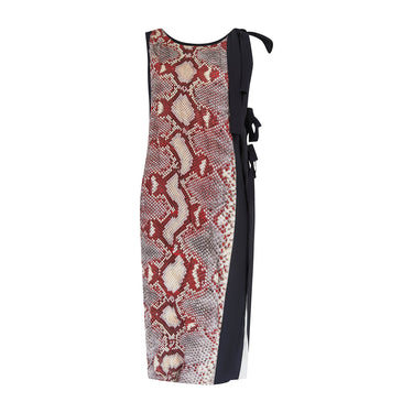 ARCHIVE - 2009 Runway Documented Prada Snake Print Dress