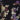 d08927b25fdb5e8869869f4e1059cdf4