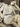 b6953181208b9381bcaf16b6c2a37285