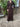 ARCHIVE - 1970s Roland Klein Brown Silk Jersey Maxi Dress