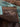 2434e10d318a3e68f3db2464c29ee37c