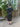1950s Black Jersey and Twisted Tassel Wiggle Dress