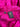 af0205414077e0d753efc27771ce7bd6