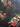 956338f9cb4014ae40f6b885b63d0fcc