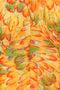 1960s Bright Feather Print and Gold Lame Dress