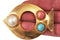 ARCHIVE: 1960s Yves Saint Laurent Gold Fish Brooch
