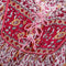 1960s Original Boho Paisley Print Indian Block Work Dress