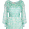 1970s Harry Algo Printed Green & White Silk Chiffon Dress With Ruffle Neckline