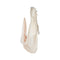 ARCHIVE - 1970s Anna Cat Medieval Silk Organza Peach Juliet Sleeved Dress
