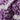 ARCHIVE - 1970s Laura Ashley Purple Floral Print Maxi Dress