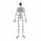 1990s Butler and Wilson Diamante Skeleton Brooch