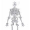 1990s Butler and Wilson Diamante Skeleton Brooch