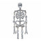 1990s Butler and Wilson Diamante Skeleton Brooch