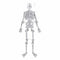 1990s Butler and Wilson Diamante Skeleton Brooch