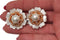 Barrera 1990s Mother of Pearl Floral Clip on Earrings