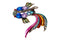ARCHIVE: Y2K Large Butler and Wilson Koi Fish Brooch