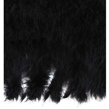 ARCHIVE - 1920s Black Feather Caplet