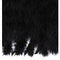 ARCHIVE - 1920s Black Feather Caplet