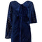 ARCHIVE - 1930s Blue Burnout Velvet Gown With Train