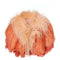 ARCHIVE - 1950s Peach Ostrich Feather Boa