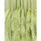ARCHIVE - 1960s Couture Green Chiffon Dress with Feather Trim