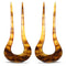 ARCHIVE - Early 1900s Faux Tortoiseshell and Diamanté Loop Hair Comb Set