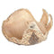 ARCHIVE - Lily Dache 1950s Beaded Hat