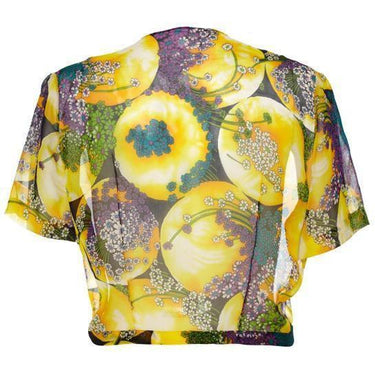ARCHIVE - Rare 1940s Novelty Print Daisy and Sun Print Sheer Top