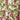 ARCHIVE - Gevah 1950s Cotton Floral Rose Print Dress